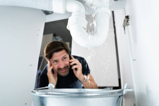 Best Local Plumber Services  in Ellenville, NY